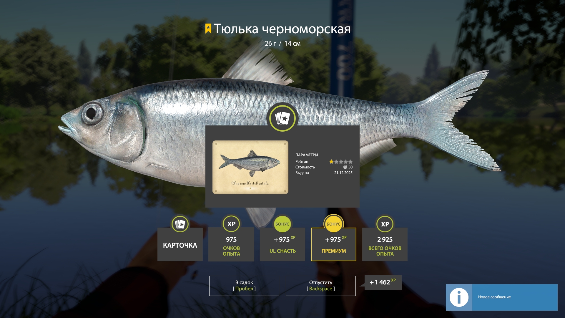 Trophy Seversky Donets River