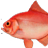 Alfonsino