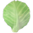 Cabbage leaf