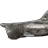 Basking shark
