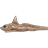 European chimaera