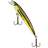 X-Minnow F50-02