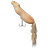 Squirrel 45