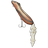 Chipmunk 60