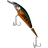 Salmon T1 Shad 12 003