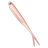 Real Minnow 4-006