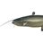 Catfish