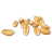 Wheat seeds
