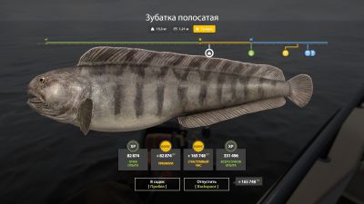 Trophy Norwegian Sea