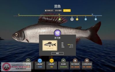 Trophy Ladoga archipelago