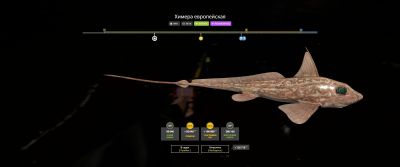 Trophy Norwegian Sea