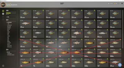 Trophy Seversky Donets River