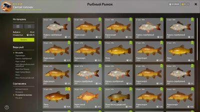 Trophy The Amber Lake