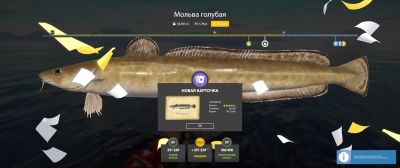 Trophy Norwegian Sea