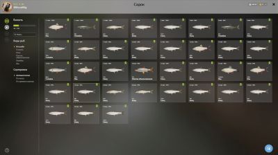 Trophy Winding Rivulet