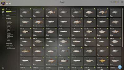 Trophy Seversky Donets River