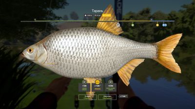 Trophy Seversky Donets River