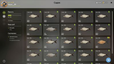 Trophy Old Burg Lake