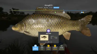 Trophy The Amber Lake