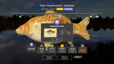 Trophy The Amber Lake