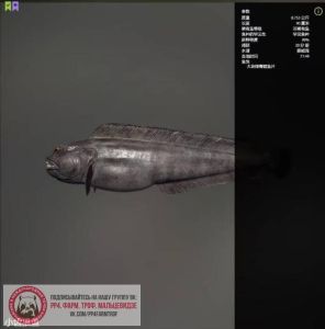 Trophy Norwegian Sea