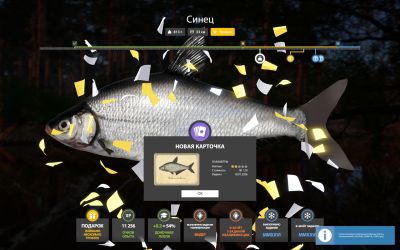 Trophy Winding Rivulet