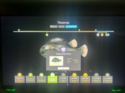 Trophy Norwegian Sea