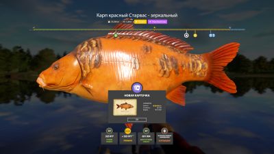 Trophy The Amber Lake