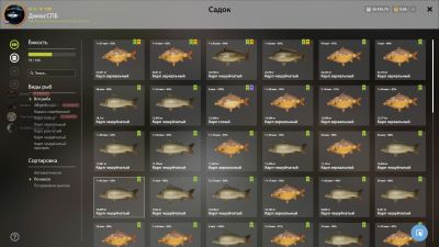 Trophy The Amber Lake