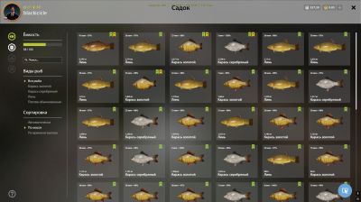 Trophy Mosquito Lake