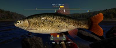 Trophy Lower Tunguska River