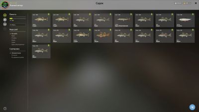 Trophy Winding Rivulet