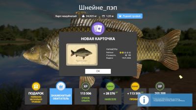 Trophy The Amber Lake