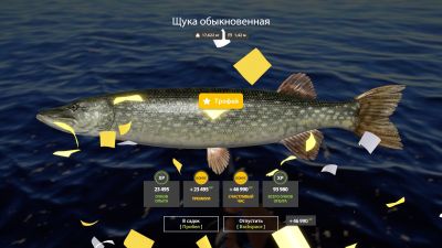 Trophy Ladoga archipelago