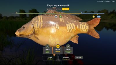 Trophy The Amber Lake