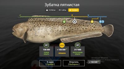 Trophy Norwegian Sea