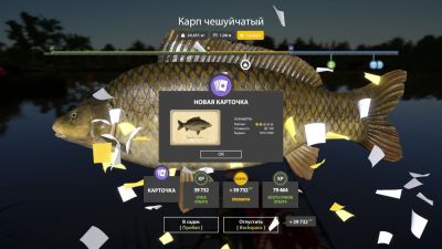 Trophy The Amber Lake