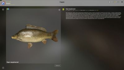 Trophy The Amber Lake