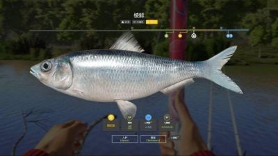 Trophy Seversky Donets River