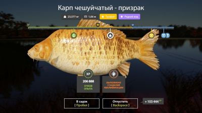 Trophy The Amber Lake