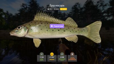 Trophy Winding Rivulet