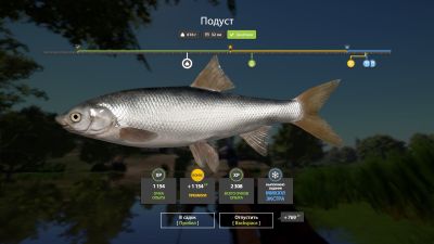 Trophy Seversky Donets River