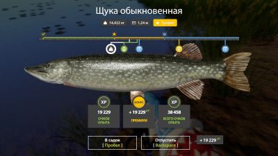 Trophy The Amber Lake