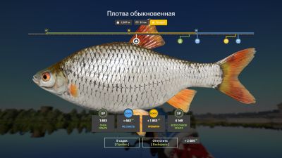 Trophy Volkhov River