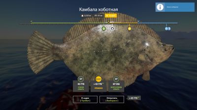 Trophy Norwegian Sea