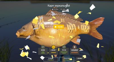 Trophy The Amber Lake