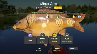 Trophy The Amber Lake