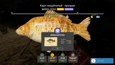 Trophy The Amber Lake