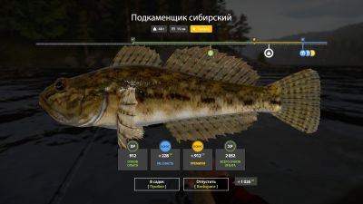 Trophy Lower Tunguska River