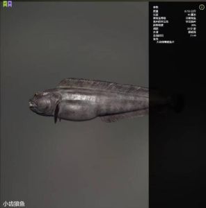 Trophy Norwegian Sea